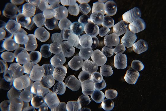Przezroczyste półprzezroczyste granulki TPE Super miękki granulat TPE SEBS Elastomer termoplastyczny
